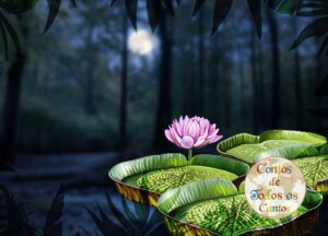 A Lenda da Vitória-Régia